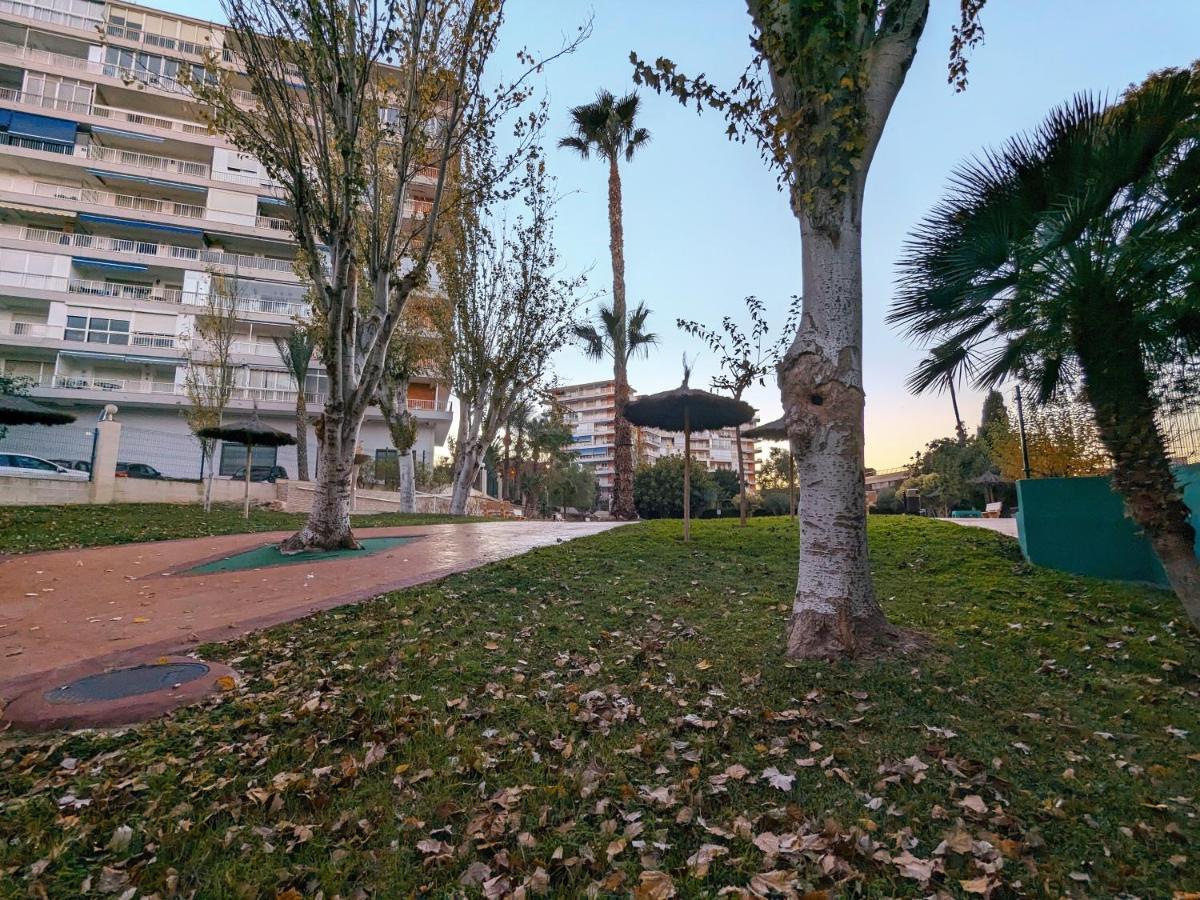 Bruselas 23 Alicante Exterior photo